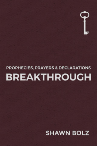 Kniha Breakthrough Shawn Bolz
