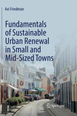 Kniha Fundamentals of Sustainable Urban Renewal in Small and Mid-Sized Towns Avi Friedman