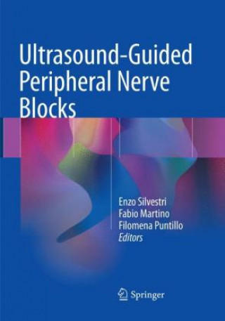 Könyv Ultrasound-Guided Peripheral Nerve Blocks Enzo Silvestri