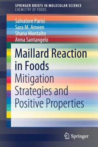 Kniha Maillard Reaction in Foods Salvatore Parisi
