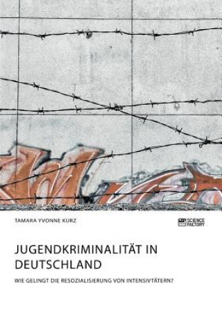 Kniha Jugendkriminalitat in Deutschland. Wie gelingt die Resozialisierung von Intensivtatern? TAMARA YVONNE KURZ