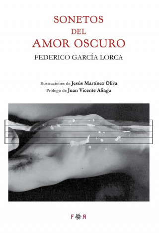 Книга SONETOS DE AMOR OSCURO FEDERICO GARCIA LORCA