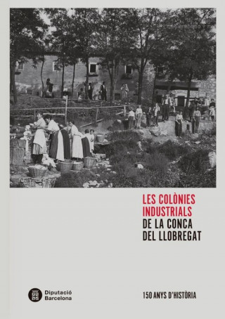 Kniha LES COLÒNIES INDUSTRIALS DE LA CONCA DEL LLOBREGAT ALBERT BALCELLS