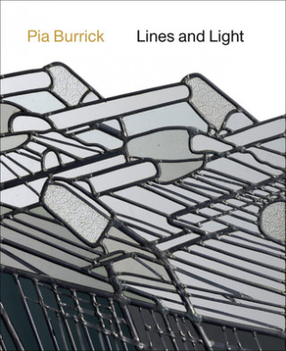Buch Pia Burrick Johan Debruyne