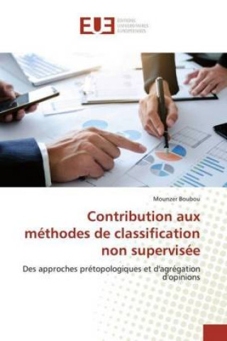 Knjiga Contribution aux méthodes de classification non supervisée Mounzer Boubou