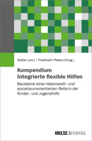 Kniha Kompendium Integrierte flexible Hilfen Stefan Lenz