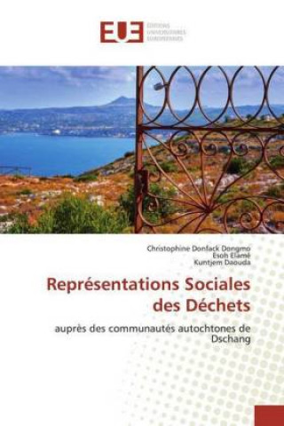Knjiga Représentations Sociales des Déchets Christophine Donfack Dongmo
