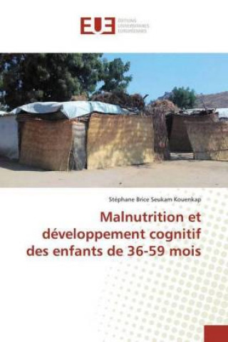 Kniha Malnutrition et développement cognitif des enfants de 36-59 mois Stéphane Brice Seukam Kouenkap