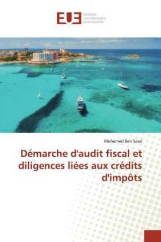 Carte Démarche d'audit fiscal et diligences liées aux crédits d'impôts Mohamed Ben Sassi