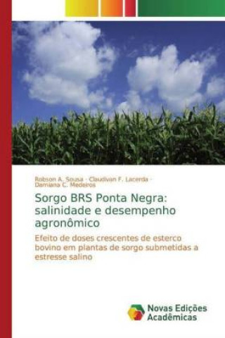 Könyv Sorgo BRS Ponta Negra: salinidade e desempenho agronômico Robson A. Sousa