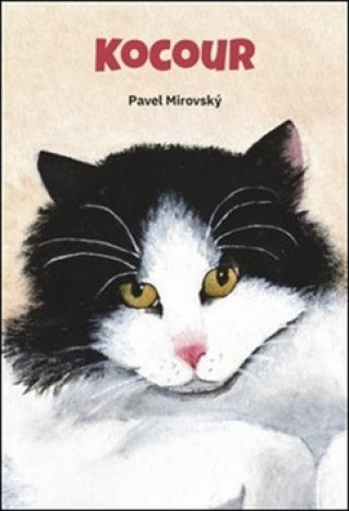 Book Kocour Pavel Mirovský