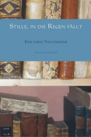 Libro Stille, in die Regen fällt Christoph Kaiser