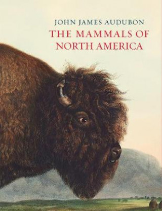 Kniha Mammals of North America John James Audubon