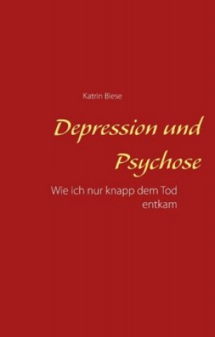 Kniha Depression und Psychose Katrin Biese