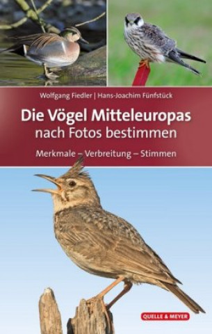 Kniha Die Vögel Mitteleuropas Wolfgang Fiedler