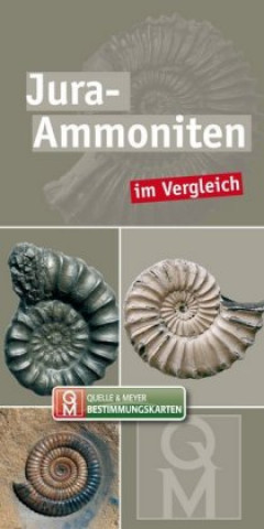 Carte Jura-Ammoniten Quelle & Meyer Verlag