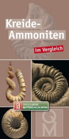 Buch Kreide-Ammoniten Quelle & Meyer Verlag