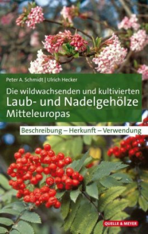 Kniha Die wildwachsenden und kultivierten Laub- und Nadelgehölze Mitteleuropas Peter A. Schmidt