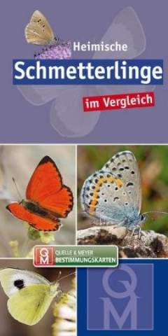 Book Heimische Schmetterlinge Quelle & Meyer Verlag