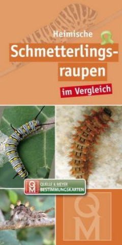 Carte Heimische Schmetterlingsraupen Quelle & Meyer Verlag
