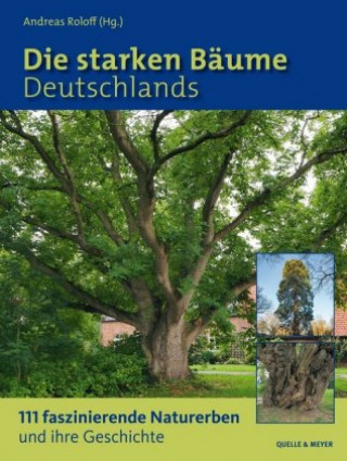 Kniha Die starken Bäume Deutschlands Andreas Roloff (Hg.