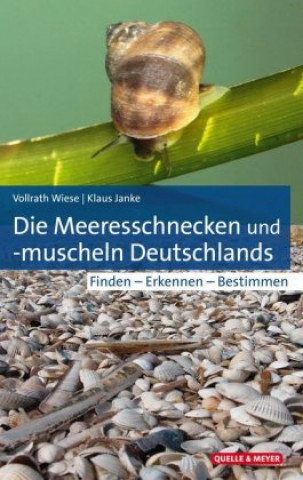 Carte Die Meeresschnecken und -muscheln Deutschlands Vollrath Wiese