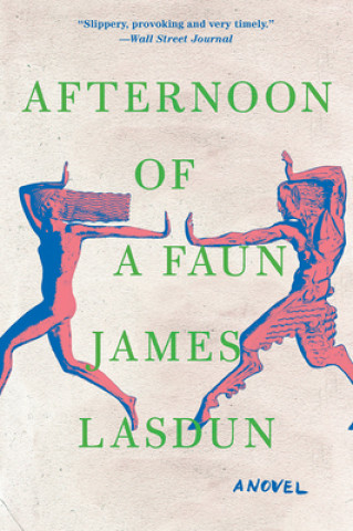 Book Afternoon of a Faun - A Novel James Lasdun