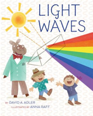 Book Light Waves David A. Adler