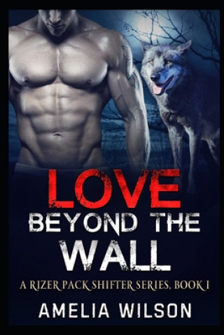 Kniha Love Beyond the wall Amelia Wilson