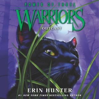 Digital Warriors: Power of Three #3: Outcast Erin Hunter