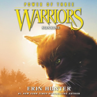 Digital Warriors: Power of Three #6: Sunrise Erin Hunter