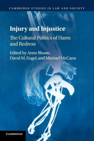 Kniha Injury and Injustice 