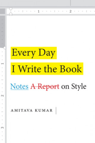 Kniha Every Day I Write the Book Amitava Kumar