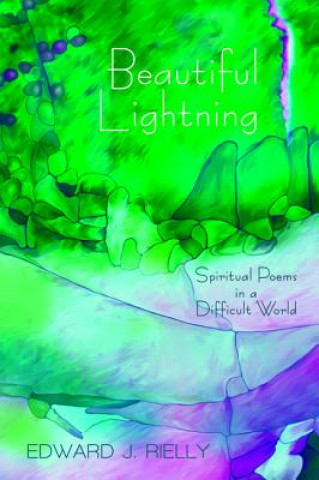 Knjiga Beautiful Lightning Rielly Edward J. Rielly