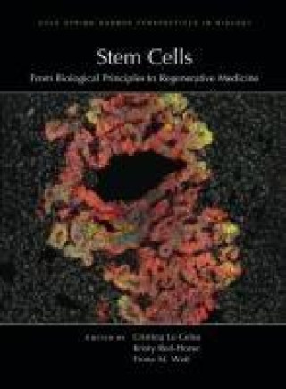 Knjiga Stem Cells: From Biological Principles to Regenerative Medicine Kristy Red-Horse