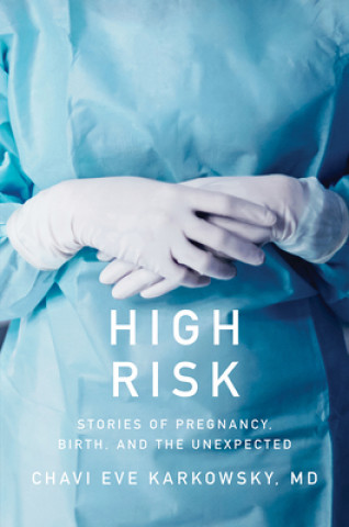 Knjiga High Risk - Stories of Pregnancy, Birth, and the Unexpected Chavi Karkowsky