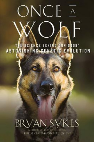 Carte Once a Wolf - The Science Behind Our Dogs` Astonishing Genetic Evolution Bryan Sykes