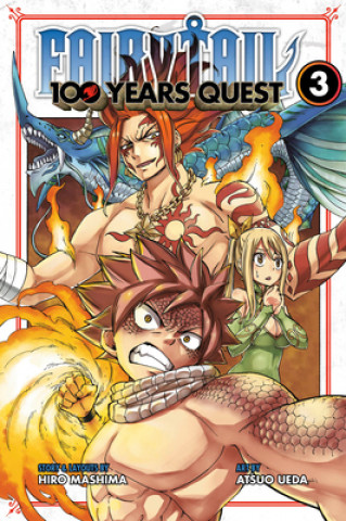 Book Fairy Tail: 100 Years Quest 3 Hiro Mashima