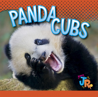 Buch Panda Cubs Jen Besel