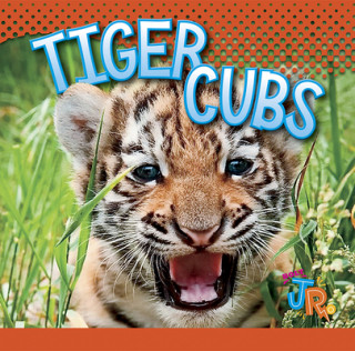 Kniha Tiger Cubs Jen Besel
