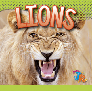 Libro Lions Marysa Storm