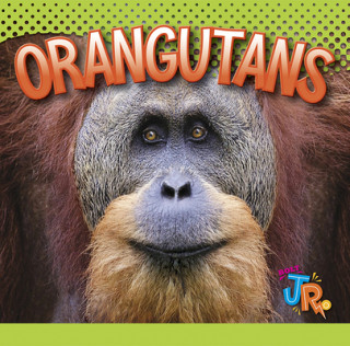 Könyv Orangutans Marysa Storm