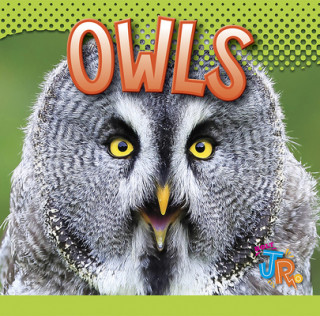 Buch Owls Marysa Storm