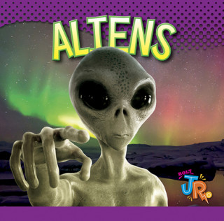 Buch Aliens Marysa Storm