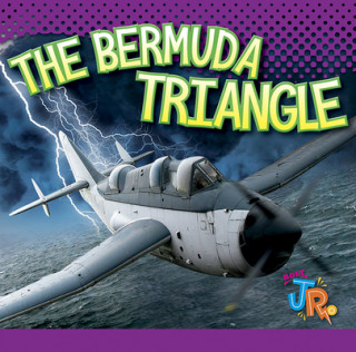 Kniha The Bermuda Triangle Marysa Storm
