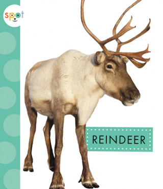 Libro Reindeer Anastasia Suen