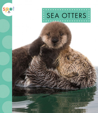 Könyv Sea Otters Anastasia Suen