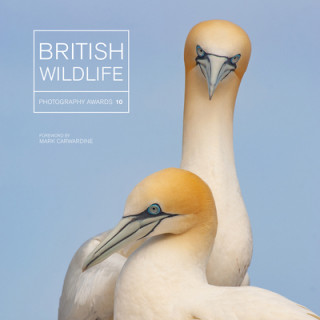 Carte British Wildlife Photography Awards 10 MAGGIE GOWAN