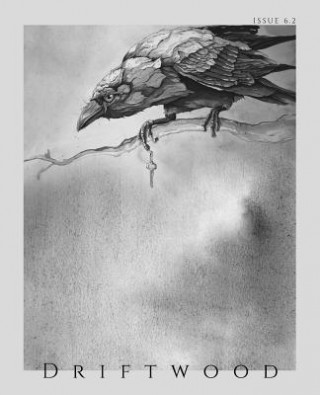 Knjiga Driftwood Press 6.2 James McNulty