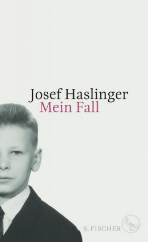 Kniha Mein Fall Josef Haslinger